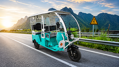Lords Automative Savari