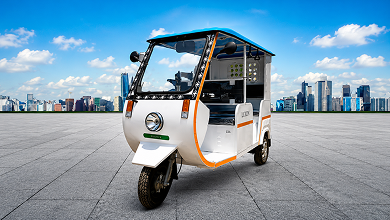 Lords Automative Devam King